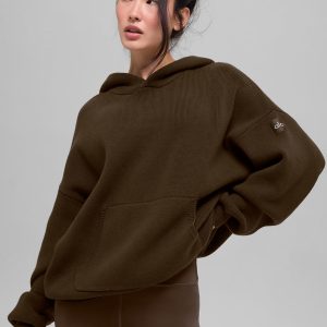 Alo Yoga Scholar Hooded Sweater - Espresso